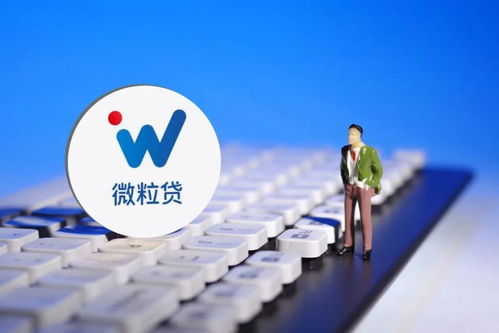 微粒貸軟暴力催收不斷,應規范流程對逾期進行批量訴訟